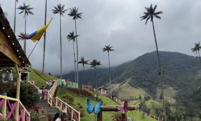 ¿En Riesgo Latente El Valle de Cocora Por Convertirse en Un Lugar de Diversiones? Expertos haban de lo que sucede