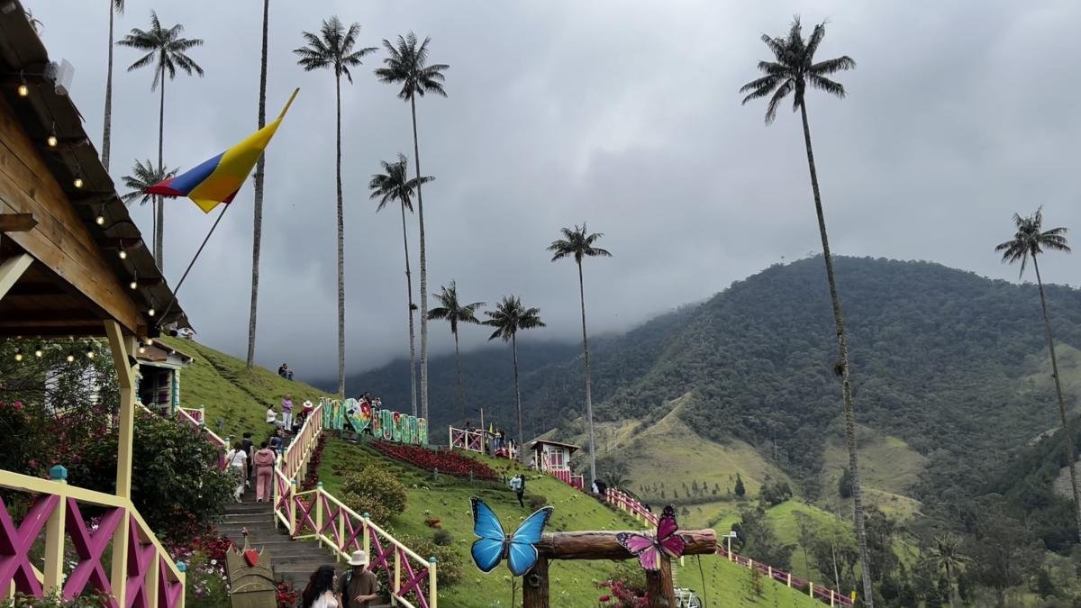 ¿En Riesgo Latente El Valle de Cocora Por Convertirse en Un Lugar de Diversiones? Expertos haban de lo que sucede