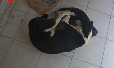 EL responsable No ACTÓ LOS CARGOS