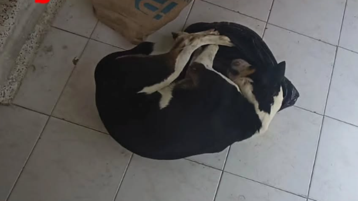 EL responsable No ACTÓ LOS CARGOS