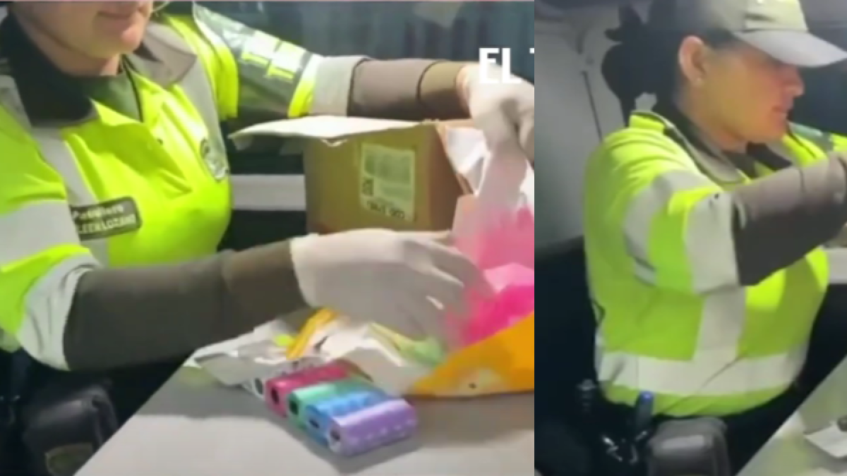 Incautan Millonario Cargamento de Pastillas de Anfetaminas Oculas en Comida para Mascotas en el Sur de Bogotá