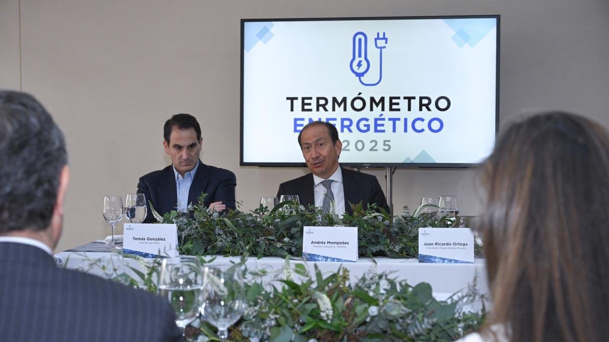 Inversión y Expansión, Claves para Garantizar la Seguridad Energérica en El País