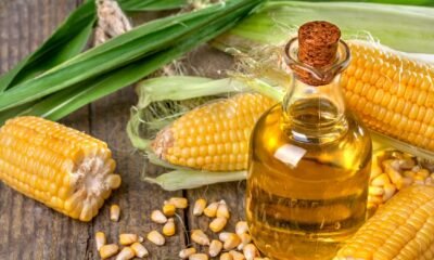 Aceite de maíz: propiedades, beneficios y contraindicaciones