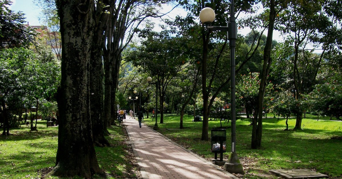 Autoridades revisan parques de Chapinero tras denuncias ciudadanas de comida envenenada