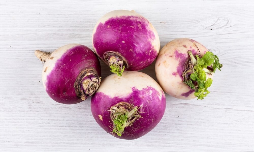 El nabo: una tradición escocesa con beneficios increíbles para la salud