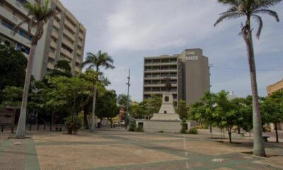 crecimiento de las veedurías ciadoadanas en el DISTRITO
