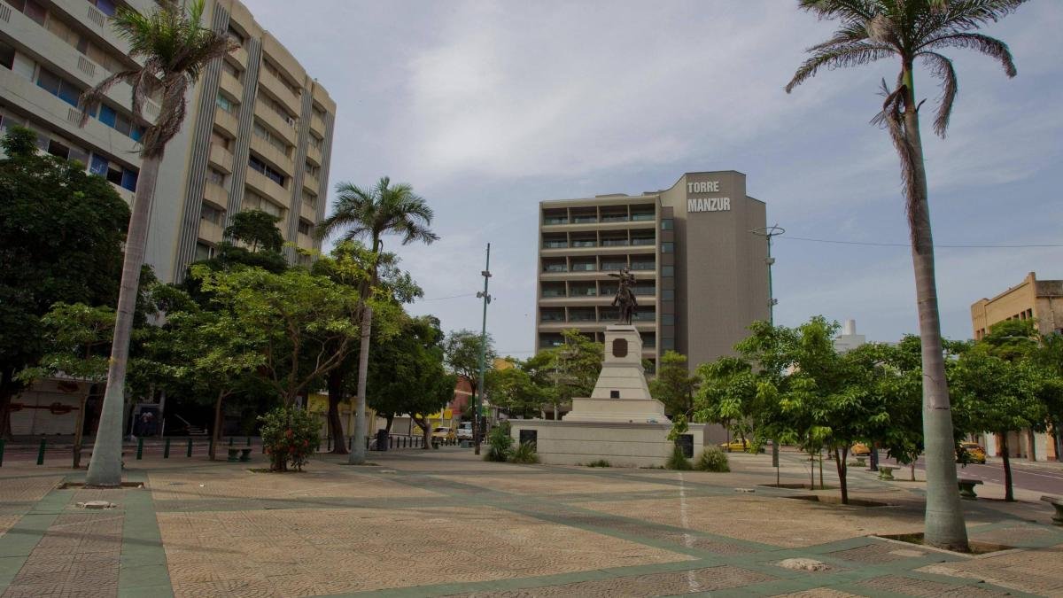crecimiento de las veedurías ciadoadanas en el DISTRITO