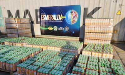 Proyecto Clave Contra El Narcotráfico en Puertos del Atlánnico, un Espera de Aprobación de DiMar