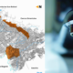 Barrios que tenderán Cortes Este Sábado 15 de febrero de 2025