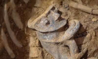 Las 200 Mil Pezas Arqueológicas Halladas Durante Obras de la Avenida Caracas en el Sur de Bogotá: Sorprenden a la Ciencia