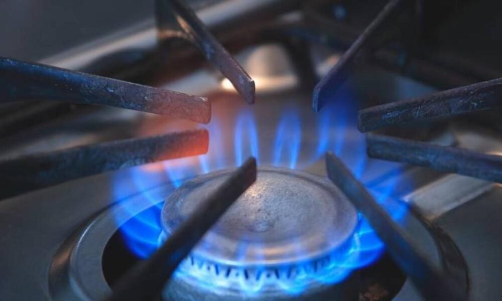 ALZA POSIBLE ALZA EN EL PORIO DE GAS AFECTARÍA A LA INDUSTRIA LOS HOGARES