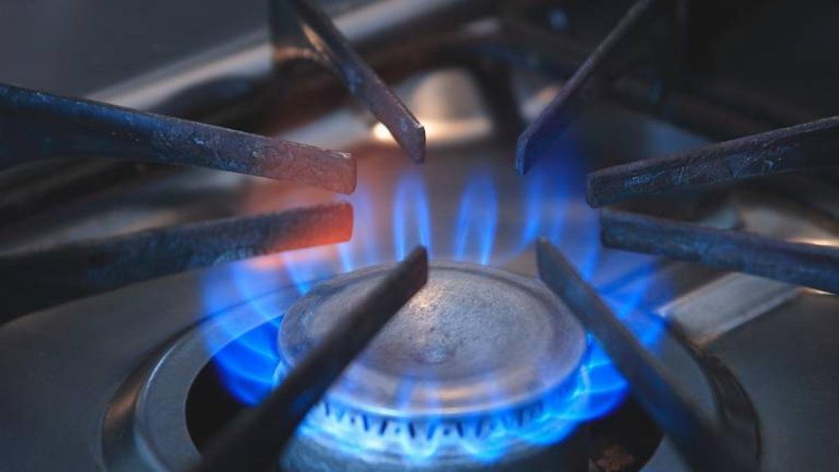 ALZA POSIBLE ALZA EN EL PORIO DE GAS AFECTARÍA A LA INDUSTRIA LOS HOGARES