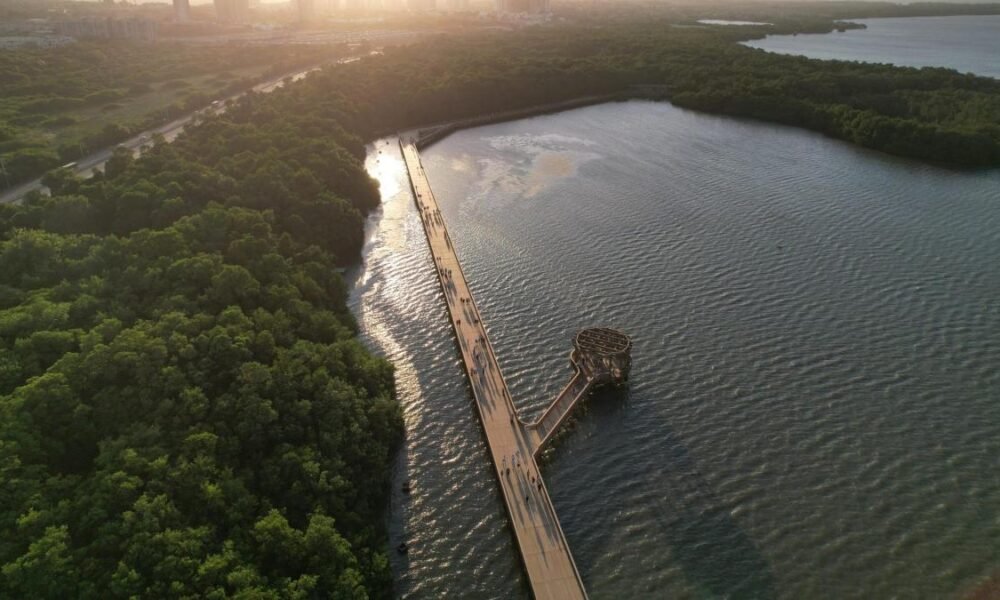 Tribunal admite accionón popular de la procuraduría para frenar el deterioro ambiental en la ciénaga de mallorquín