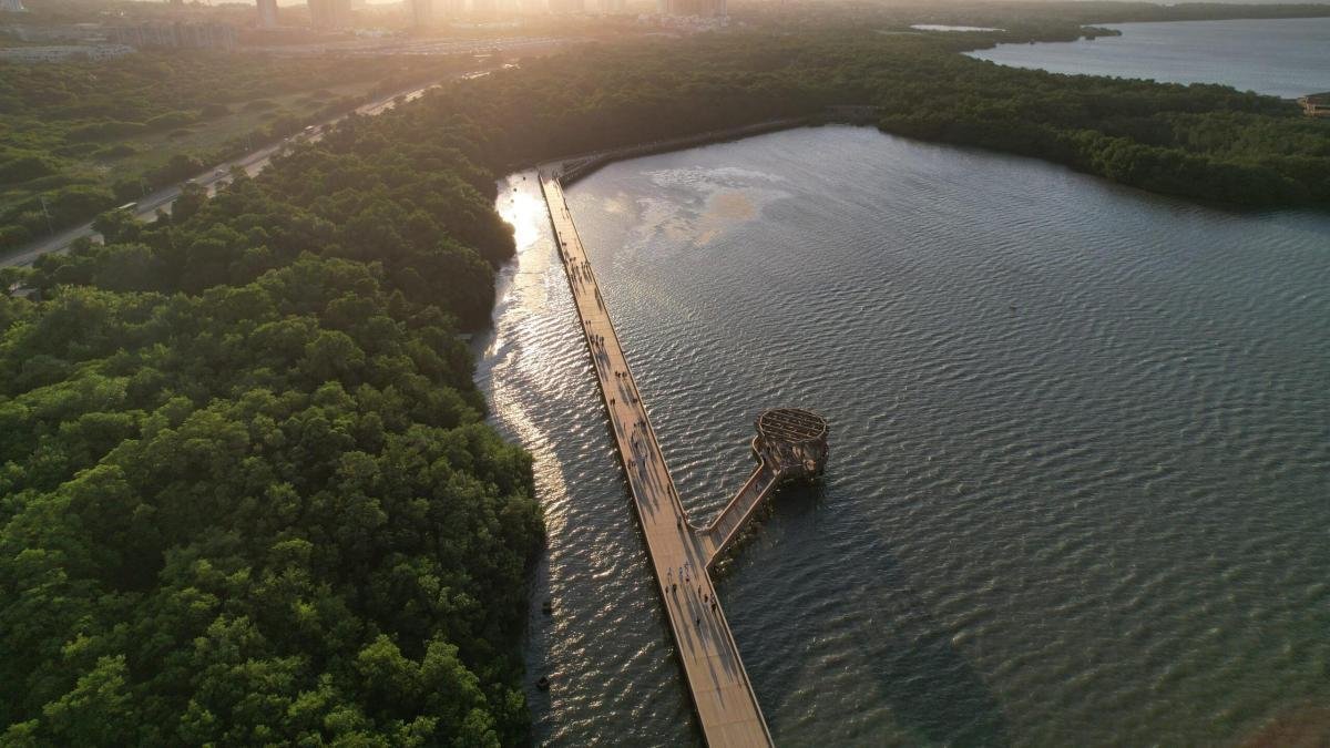 Tribunal admite accionón popular de la procuraduría para frenar el deterioro ambiental en la ciénaga de mallorquín