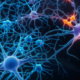 Laboratorio Trae A Colombia Pruebas Apobadas por la Fda para el Diagnóstico de Alzheimer