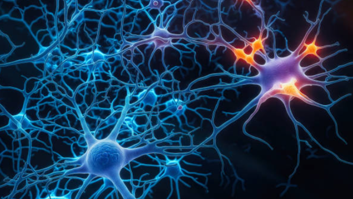 Laboratorio Trae A Colombia Pruebas Apobadas por la Fda para el Diagnóstico de Alzheimer