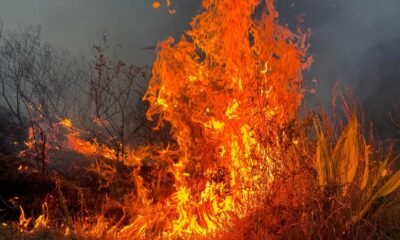 En im ágenes | Los Angustiosos Momentos del Incendio Que Afectó Parte de la Zona Rural de Yumbo, Valle del Cauca