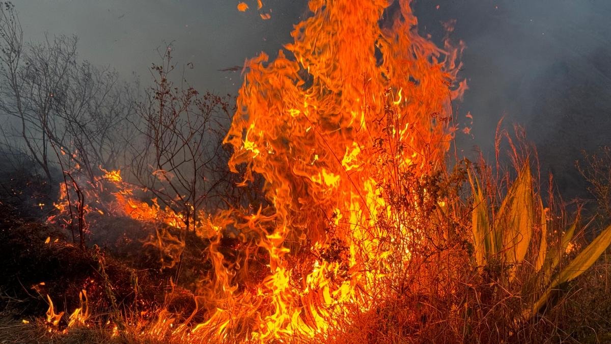 En im ágenes | Los Angustiosos Momentos del Incendio Que Afectó Parte de la Zona Rural de Yumbo, Valle del Cauca