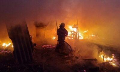 Jaguares Fueron Vistos Salido de Sus Madrigueras y Escapando de Incendios Forestales en ValledUco (César)