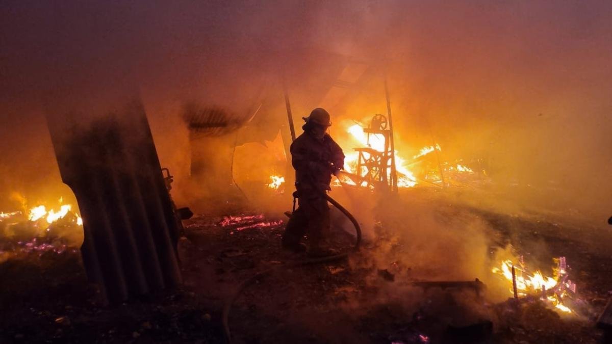 Jaguares Fueron Vistos Salido de Sus Madrigueras y Escapando de Incendios Forestales en ValledUco (César)