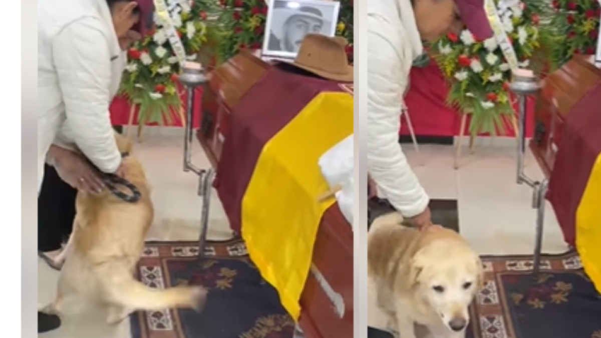 El Conmocedor adiós de un perrito en el Sepelio de Hincha del Deportes Tolima; El Joven Murió en Trágico Accidente en Vía de Girardot
