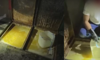 Alcaldía Selló Temporalente Local de Kfc en el Norte de Bogotá Tras Encontrario Aceites en Alcantarillas: Estas Son Las Imágenes