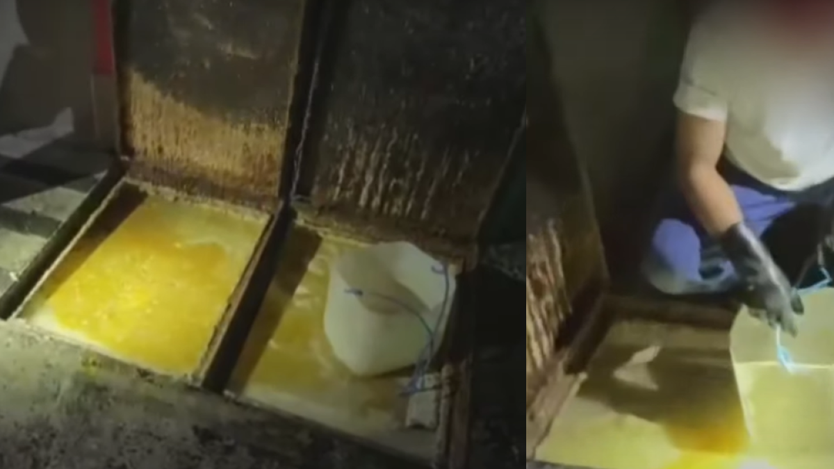Alcaldía Selló Temporalente Local de Kfc en el Norte de Bogotá Tras Encontrario Aceites en Alcantarillas: Estas Son Las Imágenes