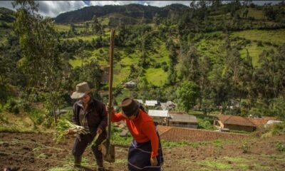 ¿Por qué las las Mujeres Campesinas del Valle del Cauca Tienen Problemas a la Hora de Pedir Présstamos Bancarios?