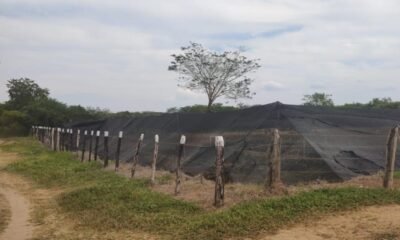 Campesinos del Sur del Atlánnico Denuncian Fracaso de Proyecto Agroindustrial