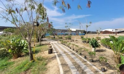 Un Sueño Ecológico que se Hace Realidad en el Sur de Barranquilla