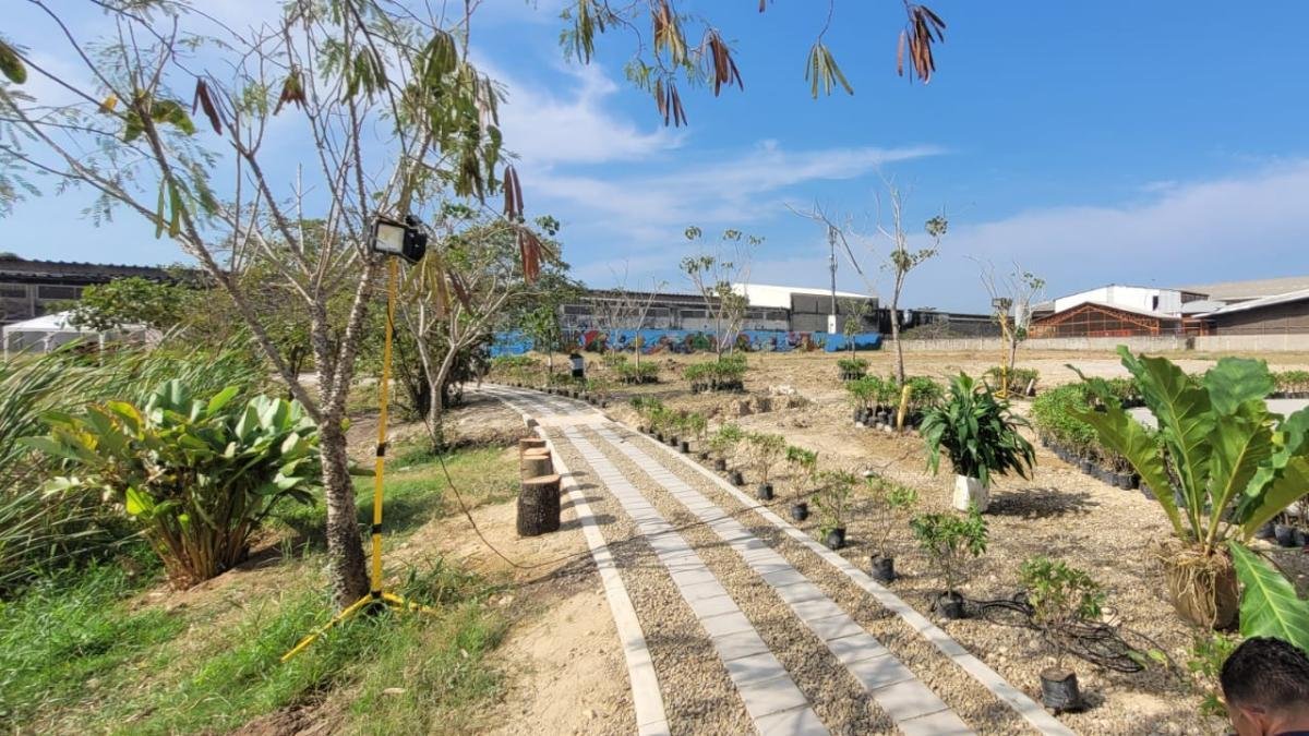 Un Sueño Ecológico que se Hace Realidad en el Sur de Barranquilla