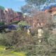Caída de Árbol en el Norte de Bogotá deja Tres Personas Heridas; este es lo que se sabe