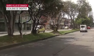 Piden Justicia en por Mascota que Fue Arrollada por Vehículo en contravía en Bogotá