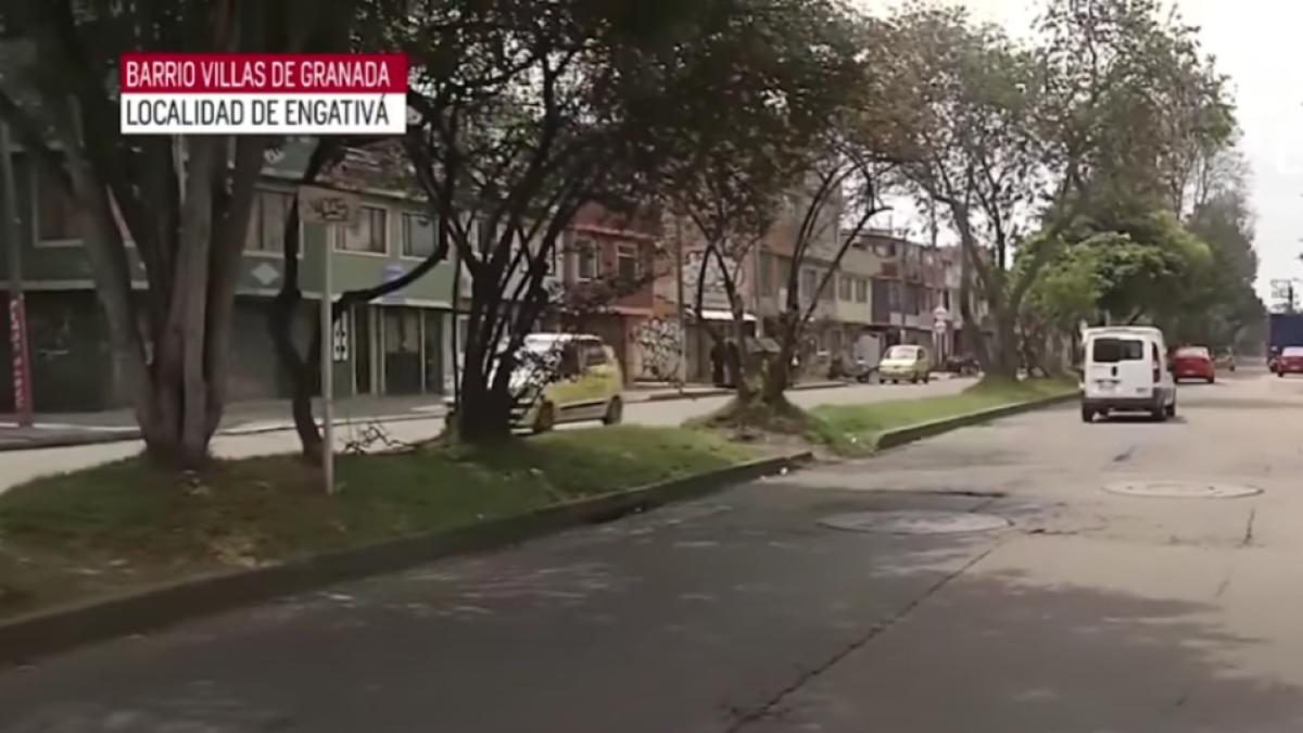 Piden Justicia en por Mascota que Fue Arrollada por Vehículo en contravía en Bogotá