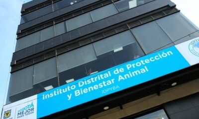 Esta es la Denuncia Que Tiene en la Lupa Al Instituto de Protección Animal de Bogotá