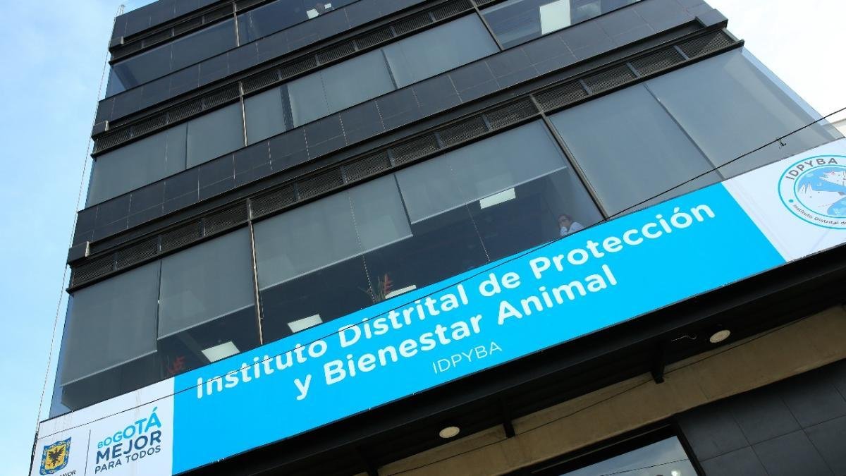 Esta es la Denuncia Que Tiene en la Lupa Al Instituto de Protección Animal de Bogotá