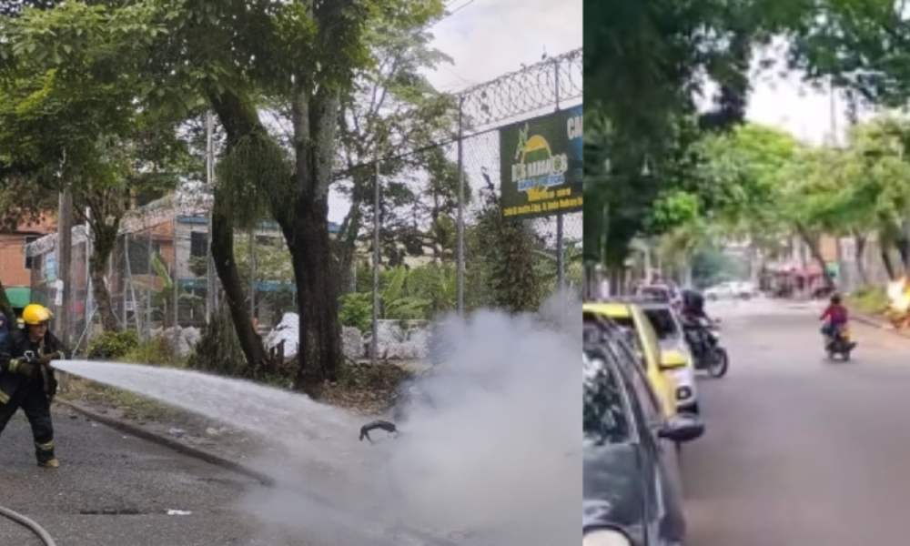 Ladrón Arrastró a Mujer en iBaBué, Se Cayó y Terminó con la Moto Quemada por la Comunidad