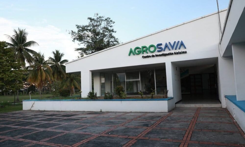 Plantón en Palmira por Pagos de Agrosavia
