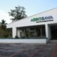 Plantón en Palmira por Pagos de Agrosavia