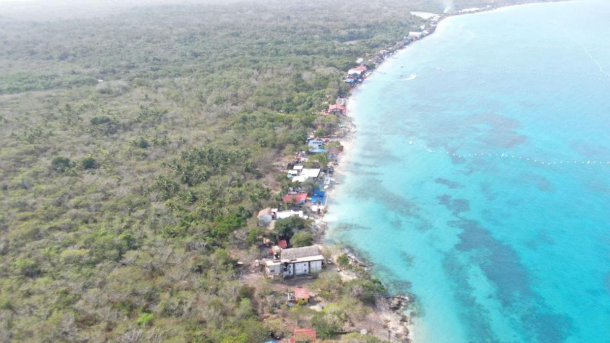 alerta ambiental en playa blanca y ciénaga de portonaito por contaminacia