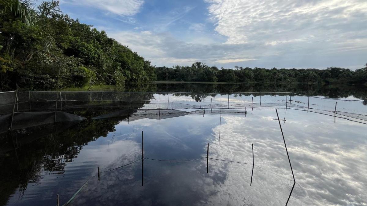 Altaja Roja en San José del Guaviare por Escasez de Agua: 60,000 Usuarios Tienen RacionAmiento
