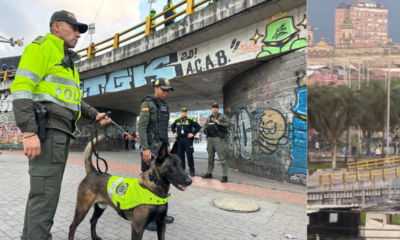 Autoridadas Captaron una persona una persona tras la explosión de una granada en San Bernardo, Bogotá