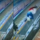 La Prisionante Acrobacia con la Que una Joven Evitó ser Robada en Un puente de bogotá