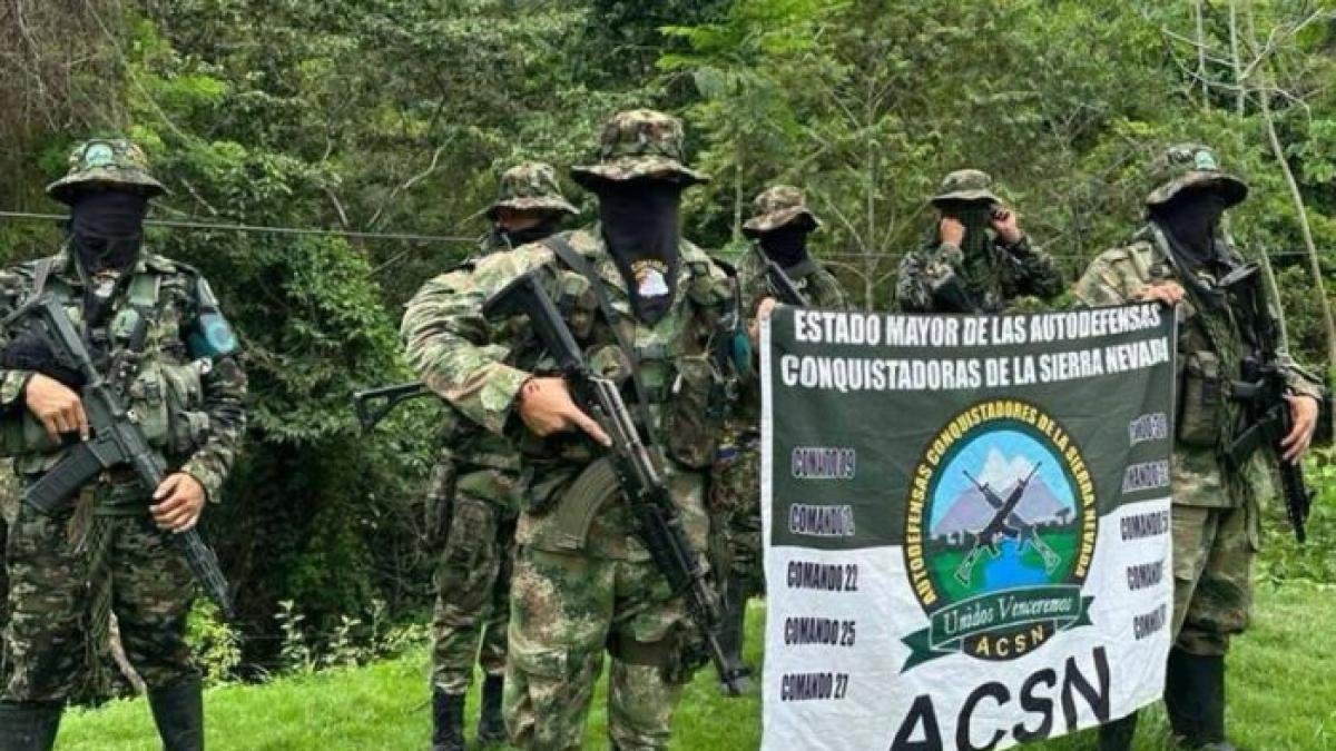 El PODER DE LAS ACSN EN LA Sombra