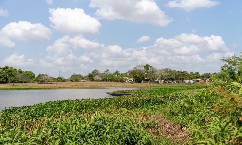 MUJERES DE LA MOJANA, CLAVE EN RECUPERACIÓN AMBIENTAL Y REHABILITACIÓN DE MÁS DE 400 HECTÁAS