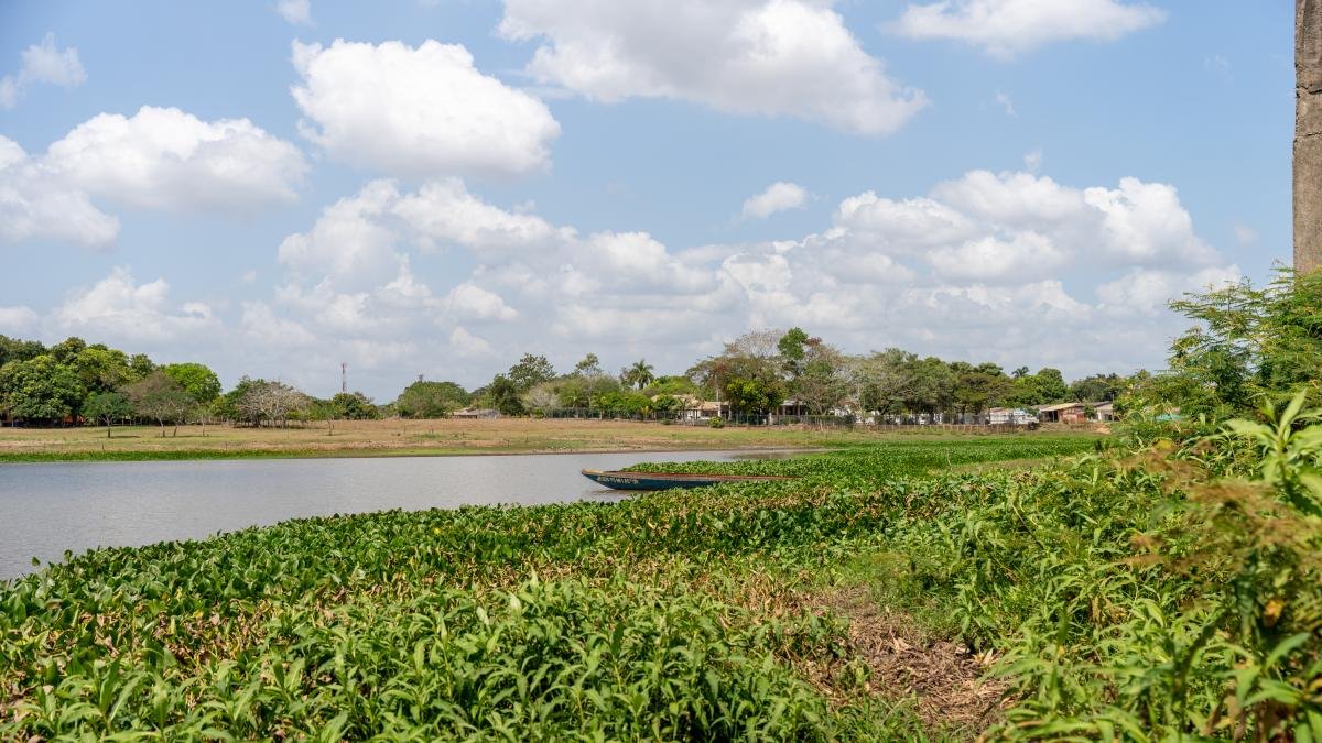 MUJERES DE LA MOJANA, CLAVE EN RECUPERACIÓN AMBIENTAL Y REHABILITACIÓN DE MÁS DE 400 HECTÁAS