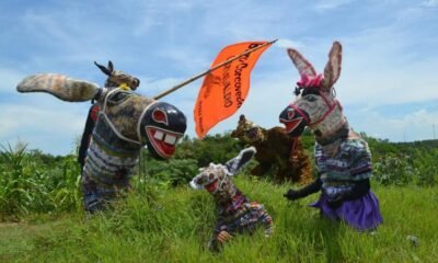 Historia del Disfraz Burro Corcoveón en el Carnaval de Barranquilla