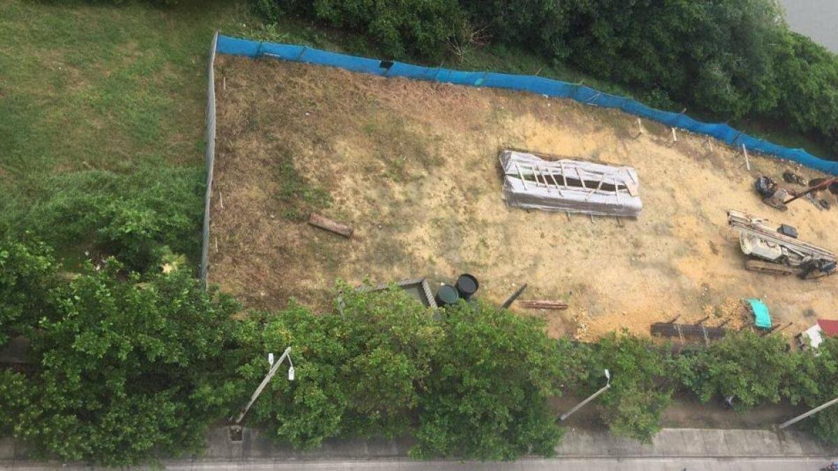 en cartagena juez suspenda vento cabroero, obra que invade y devasta el manGlar