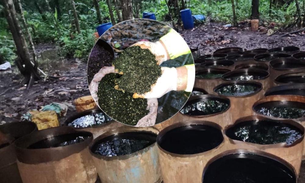 Masiva Incautacia en Laboratorio de 'Coca' y Millonarias Pérdidas para 'Comandos de Frontera'