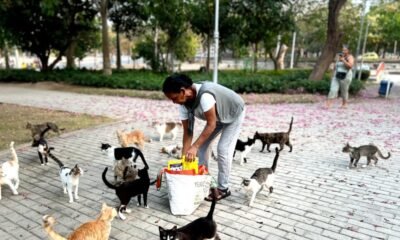 Gaticos y Perritos del Estadio Metropolitano con Nuevo Hogar en Barranquilla